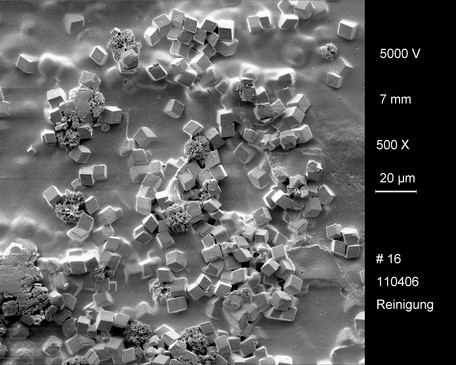 Rasterelektronenmikroskopische Aufnahme einer Foulingschicht während der alkalischen Reinigung. Bei den Kristallen handelt es sich mit größter Wahrscheinlichkeit um Calciumcarbonat.