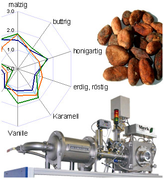 Kakaoröstung: Volleres Aroma bei reduziertem Energieeinsatz