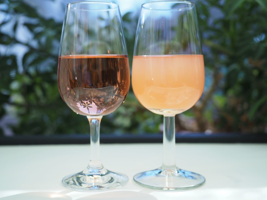 Links klar und stabil, rechts nachgetrübt: Roséwein aus Portugieser-Trauben, der beim IGF-Projekt ebenfalls untersucht wird.