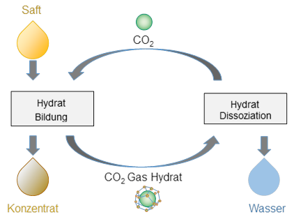 Schema der Konzentrierung von Saft mittels Gashydraten: Sie ist vergleichbar mit der Gefrierkonzentrierung, wobei der Schritt der Eisbildung durch die Hydratbildung ersetzt wird. 