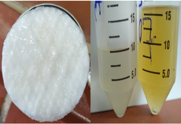 Links: Ein Gashydrat-Pellet nach dem Pressen. Das Pellet besteht hier zu rund 98 % aus Wasser (gebunden in Form von Gashydrat) und nur einem Bruchteil aus anhaftendem Saft – ein Zeichen für eine effektive Trennung.
Rechts: Im linken Gefäß befindet sich das nun dissoziierte Pellet aus dem linken Bild, im rechten Gefäß das herausgepresste Permeat. Die Pelletpresse kompaktiert das Hydratslurry und trennt über ein Sieb die Gashydrat-Kristalle vom konzentrierten Saft.
