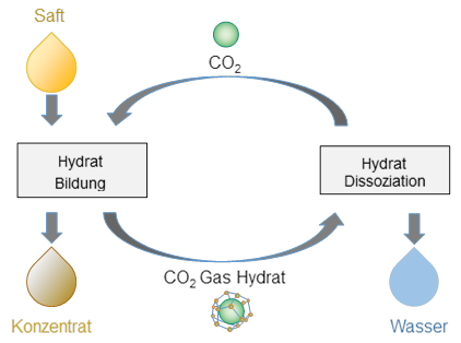 Schema der Konzentrierung von Saft mittels Gashydraten: Sie ist vergleichbar mit der Gefrierkonzentrierung, wobei der Schritt der Eisbildung durch die Hydratbildung ersetzt wird.