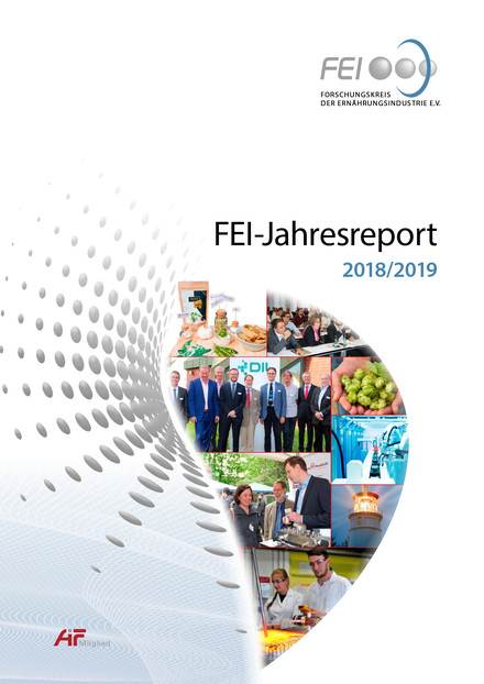 FEI-Jahresreport 2013/2014