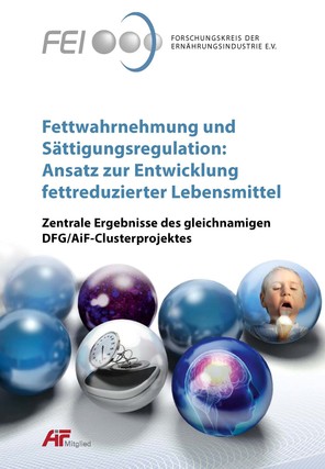 Abschlusspublikation zum DFG/AiF-Cluster "Fettwahrnehmung und Sättigungsregulation: Ansatz zur Entwicklung fettreduzierter Lebensmittel"