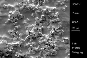 Rasterelektronenmikroskopische Aufnahme einer Foulingschicht während der alkalischen Reinigung. Bei den Kristallen handelt es sich mit größter Wahrscheinlichkeit um Calciumcarbonat.