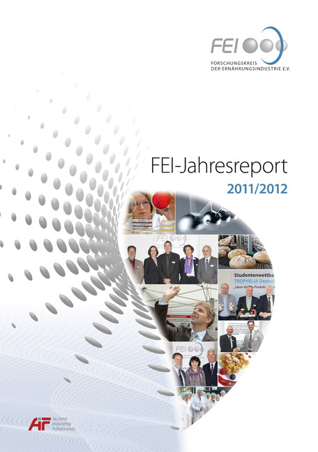 FEI-Jahresreport 2011/2012