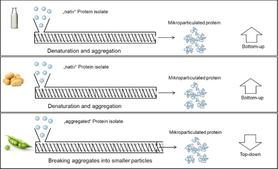 Prinzip des Mikropartikulierens bei Molke-, Kartoffel- und Erbsenproteinisolat.