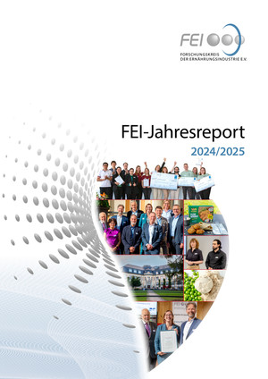 FEI-Jahresreport 2024/2025