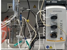 2-L-Bioreaktorsystem mit Sartorius Biostat A. Zu sehen sind das Kulturgefäß mit Anschlussleitungen, mehrere Sensor- und Peripheranschlüsse sowie die Pumpeneinheiten und Rührwelle mit Motor.