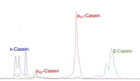 Überlagerte chromatographische Spuren zeigen die Auftrennung von Casein-Subfraktionen. Die Hauptpeakzuordnungen sind markiert: κ-Casein (blaue Spur, frühe Peaks), αS1-Casein (rote Spur, dominanter Hauptpeak), αS2-Casein (rote Spur, niedriger Peak) sowie β-Casein (grüne Spur, spätere Peaks).