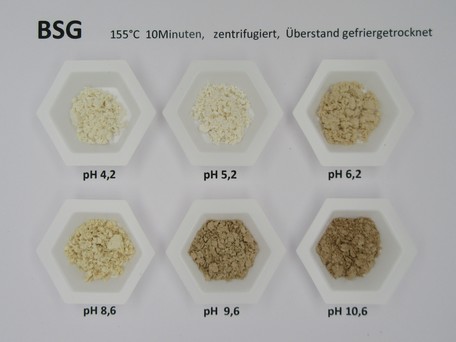 Einfluss des pH-Wertes des Hydrolysemittels auf die Eigenschaften der bei der Heißwasserhydrolyse (LHW) gewonnenen Extrakte aus Biertreber. Sichtbar sind Unterschiede in Farbe und Beschaffenheit der Extrakte.