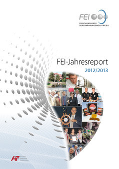 Bild zu FEI-Jahresreport 2012/2013