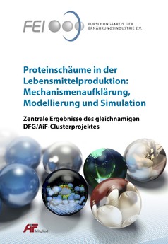 Bild zu Abschlusspublikation zum DFG/AiF-Cluster "Proteinschäume in der Lebensmittelproduktion: Mechanismenaufklärung, Modellierung und Simulation"