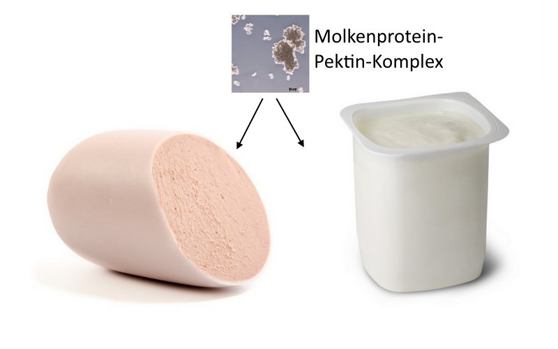 Molkenprotein-Pektin-Komplex