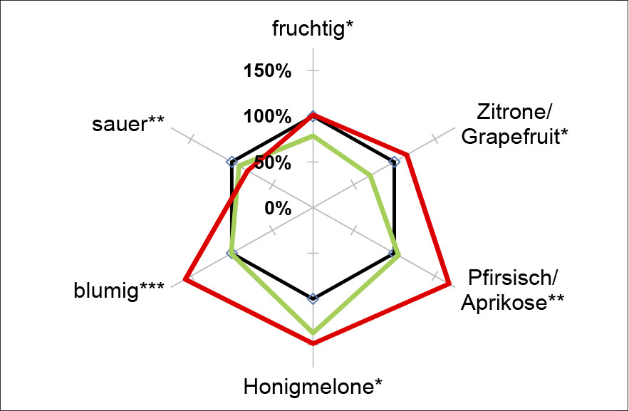 Abb. 2: Unterschiedliche Fähigkeit einer schwach (grün) und stark (rot) freisetzenden Sekthefe, das Aroma des Sektes relativ zu dem des Grundweins (schwarz; 100 %) zu verstärken.