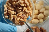 Geballte Nuss-Power! Forscher untersuchen geröstete Nüsse und deren gesundheitsfördernde Wirkungen
