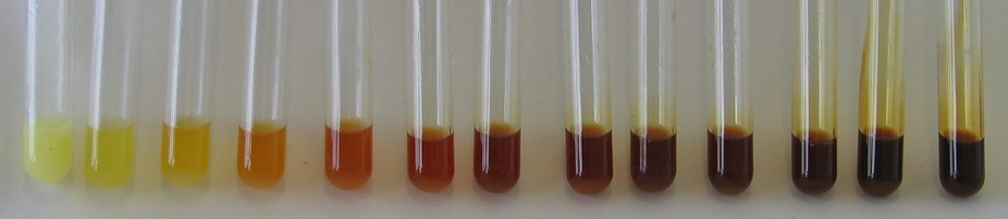 Bräunung eines Molkenpermeates durch Erhitzung bei 120°C in Abhängigkeit von der Zeit: links 0 min, rechts 210 min.