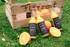 Das Gute steckt in der Schale! "Fizzzest" ist ein nachhaltig produziertes Erfrischungsgetränk, dessen Fruchtaroma ausschließlich aus den Schalen von Bio-Orangen gewonnen wird.