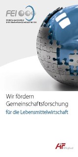 Infoflyer "Wir fördern Gemeinschaftsforschung"