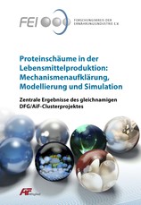 Abschlusspublikation zum DFG/AiF-Cluster "Proteinschäume in der Lebensmittelproduktion: Mechanismenaufklärung, Modellierung und Simulation"
