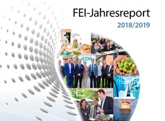 Bild zu FEI-Jahresreport 2018/2019