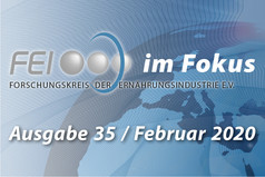 Bild zu "FEI im Fokus" - 35/Februar 2020